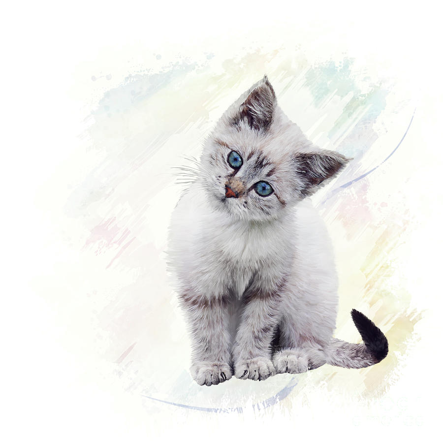 White Kitten watercolor Digital Art by Svetlana Foote