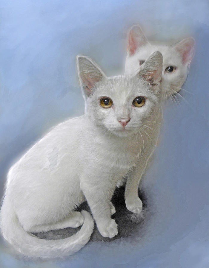 White Kittens Painting by Jane Schnetlage