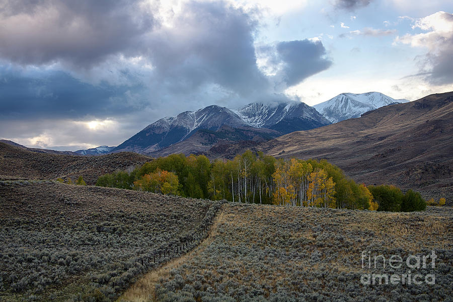 White Knob Mountains Photograph by Idaho Scenic Images Linda Lantzy