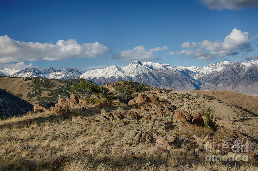 White Knob Mountains II Photograph by Idaho Scenic Images Linda Lantzy