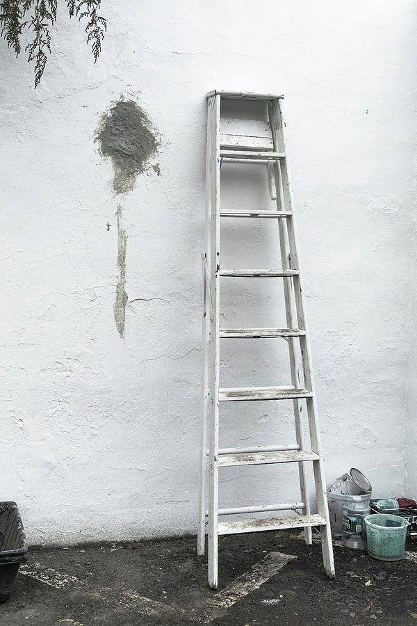 White Ladder Photograph by Tom Singleton