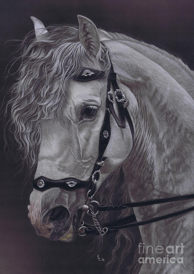 White Lightning by Karie-ann Cooper White Lightning by Karie-ann Cooper