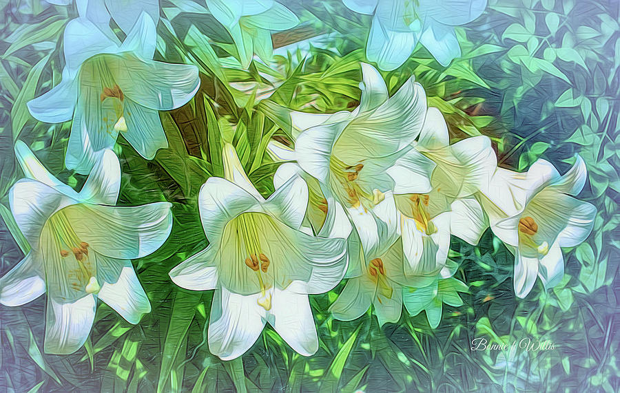 White Lilies Digital Art by Bonnie Willis