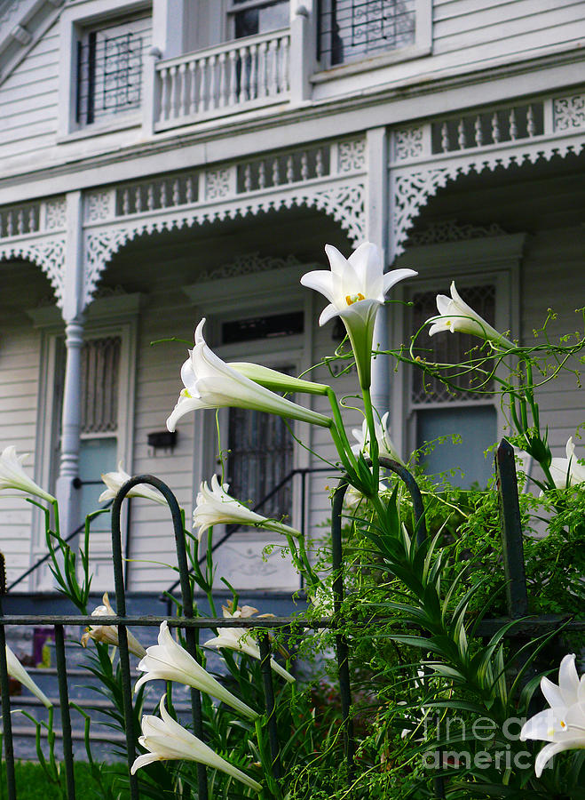 White Lilies with White Detail Photograph by Jeanne  Woods