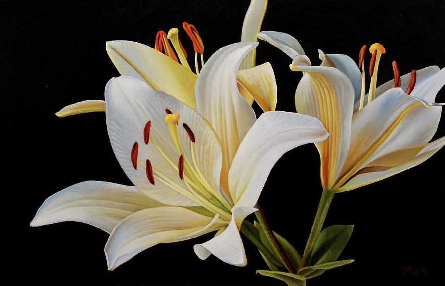 White Lillies Painting by Dietrich Moravec - Pixels