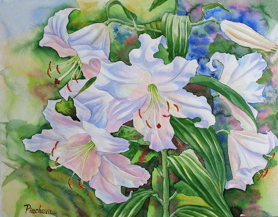 Flower Painting - White Lily. 2007 by Natalia Piacheva