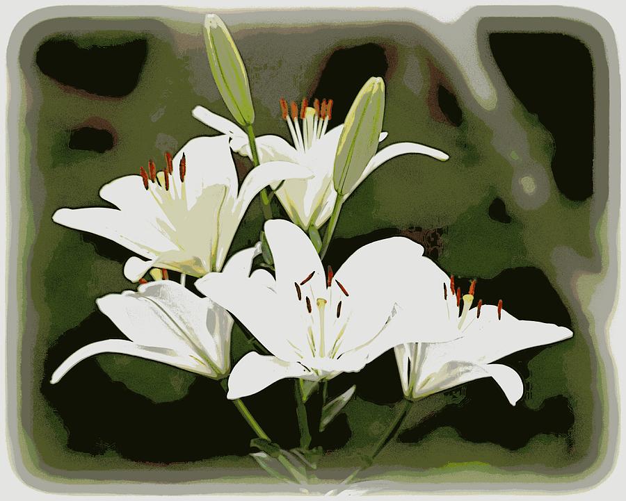 White Lily Cluster Photograph by Sheri McLeroy