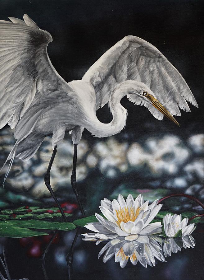 White Lily by Katie McConnachie White Lily by Katie McConnachie