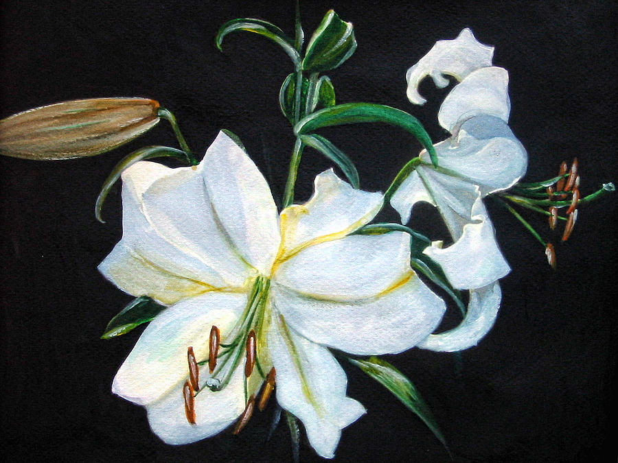 White Lily Painting