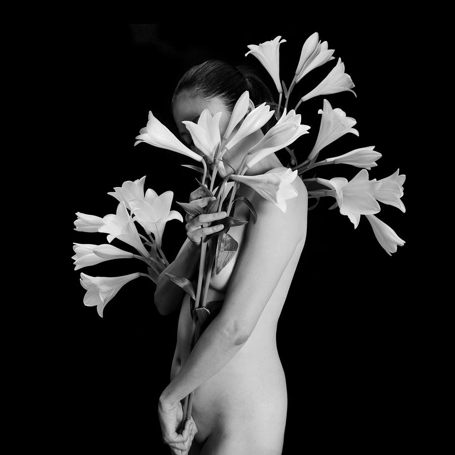 Flower Photograph - White Lily by Mayumi Yoshimaru