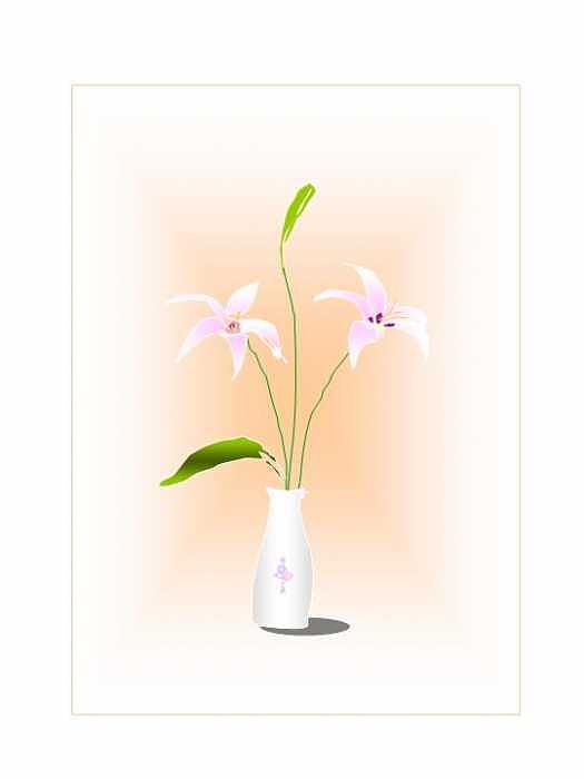 White lily Digital Art by Mousumi Mani White lily Digital Art by Mousumi Mani
