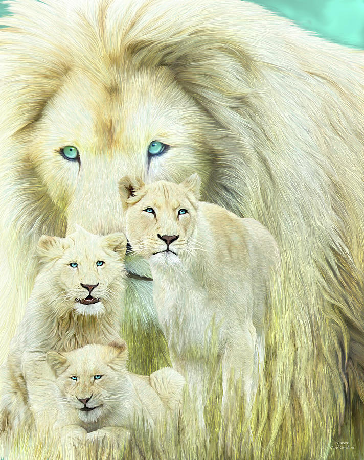 White Lion Family - Forever Mixed Media by Carol Cavalaris
