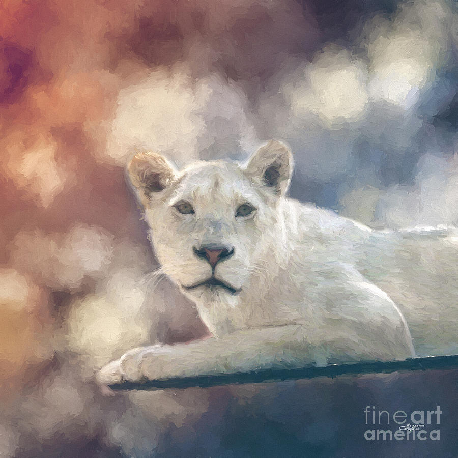 White Lion Photograph by Jutta Maria Pusl