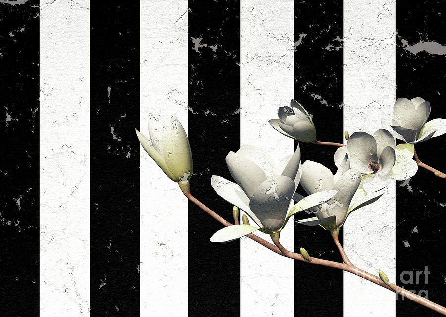 White Magnolia ..digital Digital Art by Elaine Manley