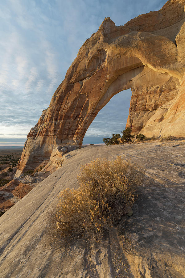 White Mesa Arch Photograph by Dustin LeFevre
