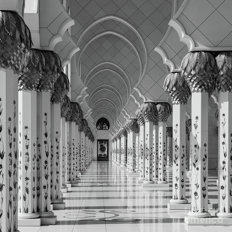 White Mosque Photograph by Dvoevnore Photo - Fine Art America