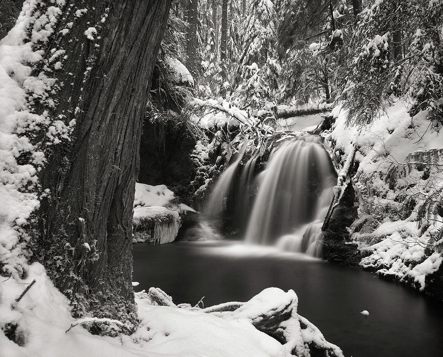 White Moss Falls Photograph By Wyatt Pace