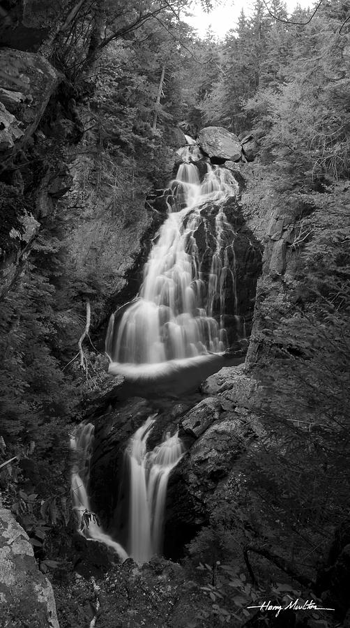 White Mountain Cascades Photograph by Harry Moulton
