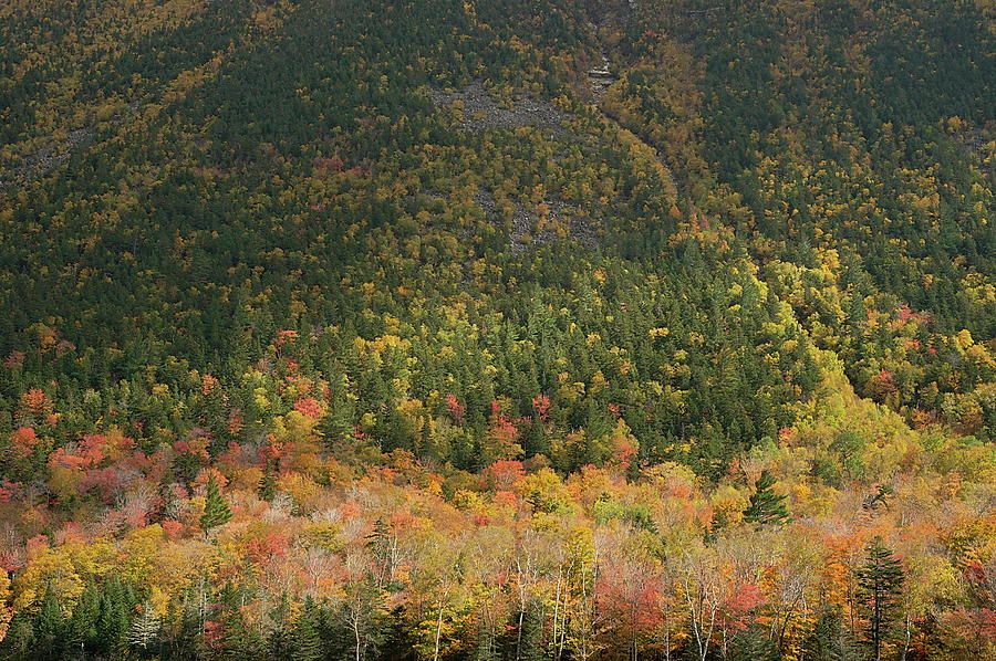 White mountain by The Mariabelones White mountain by The Mariabelones