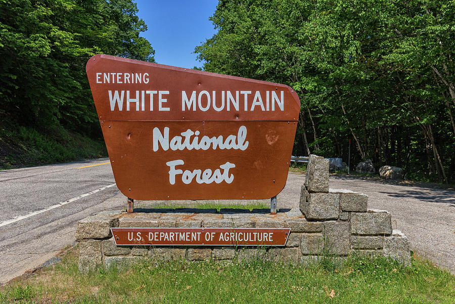 White Mountain National Forest sign Photograph by Brian MacLean