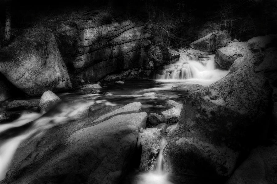 White Mountain Stream Photograph by Bill Wakeley