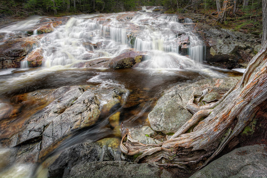 The Basin Photograph - White Mountain Waterfalls by Bill Wakeley