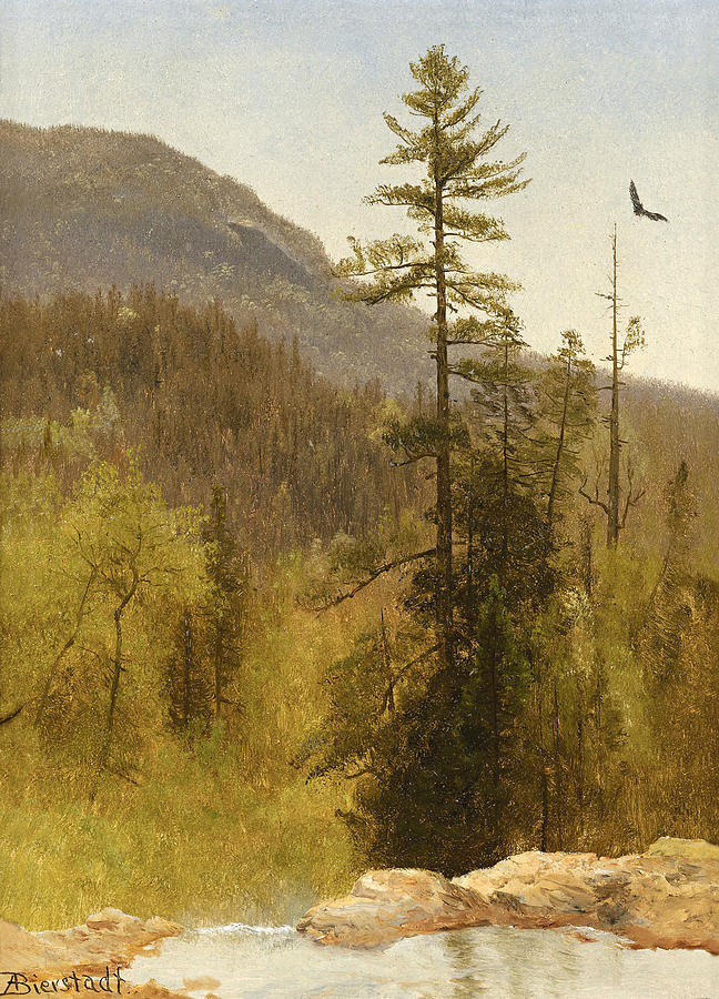 White Mountains New Hampshire Painting by Albert Bierstadt