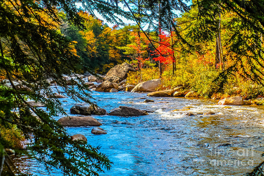 White Mountains stream in autumn Photograph by Claudia M Photography