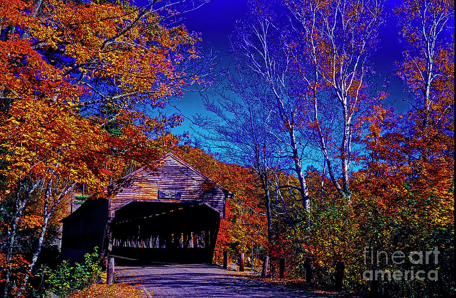 White Mountian National Park Forest Albany covered bridge  Photograph by Tom Jelen