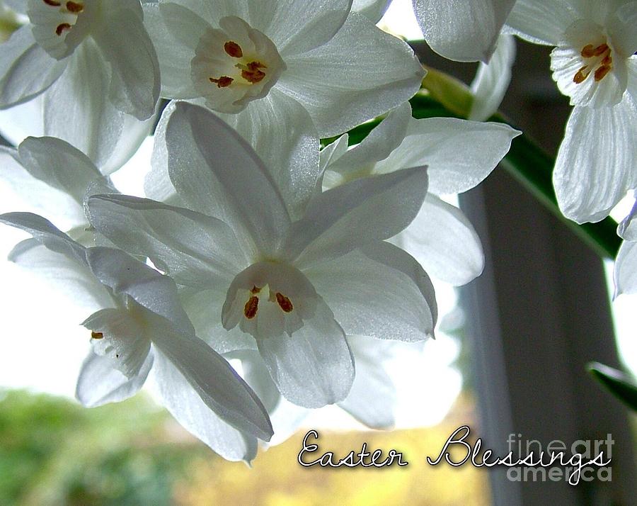White Narcissi Easter Blessings 2 Photograph by Joan-Violet Stretch