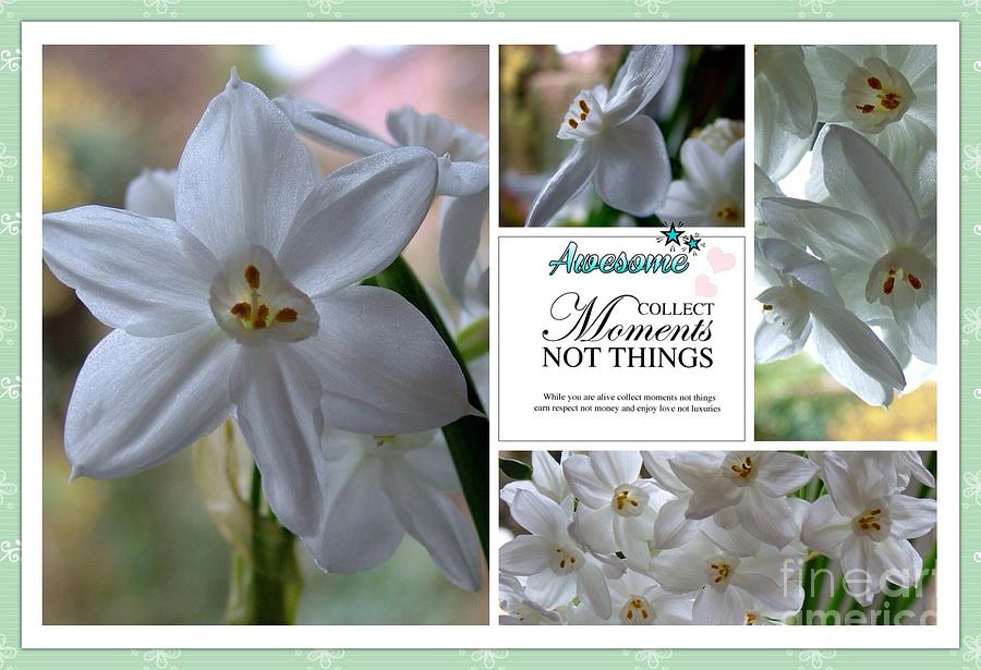 White Narcissi Moments Photograph by Joan-Violet Stretch