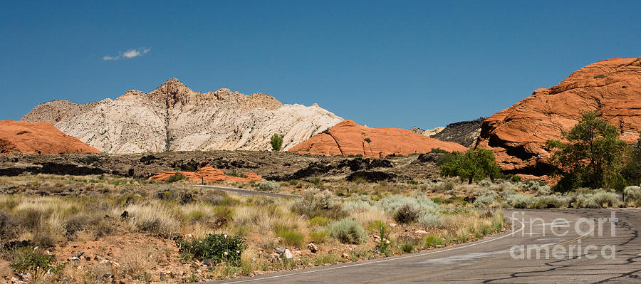 White Navajo Sandstone Petrified Sand Dune Photograph by Mary Jane Armstrong