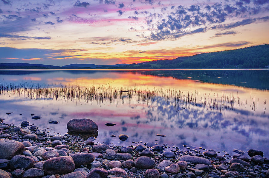 White night sunset on a Swedish lake Photograph by Dmytro Korol