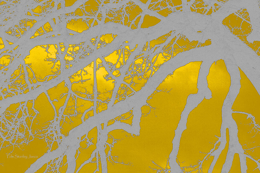 Fabric Photograph - White Oak -Yellow Orange by Tom Janca