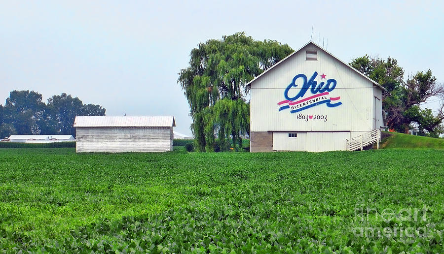 White Ohio Bicentennial Barn 8705 Photograph by Jack Schultz