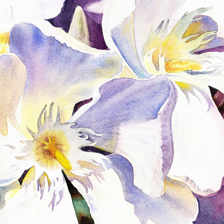 White Oleander by Irina Sztukowski  Painting by Irina Sztukowski
