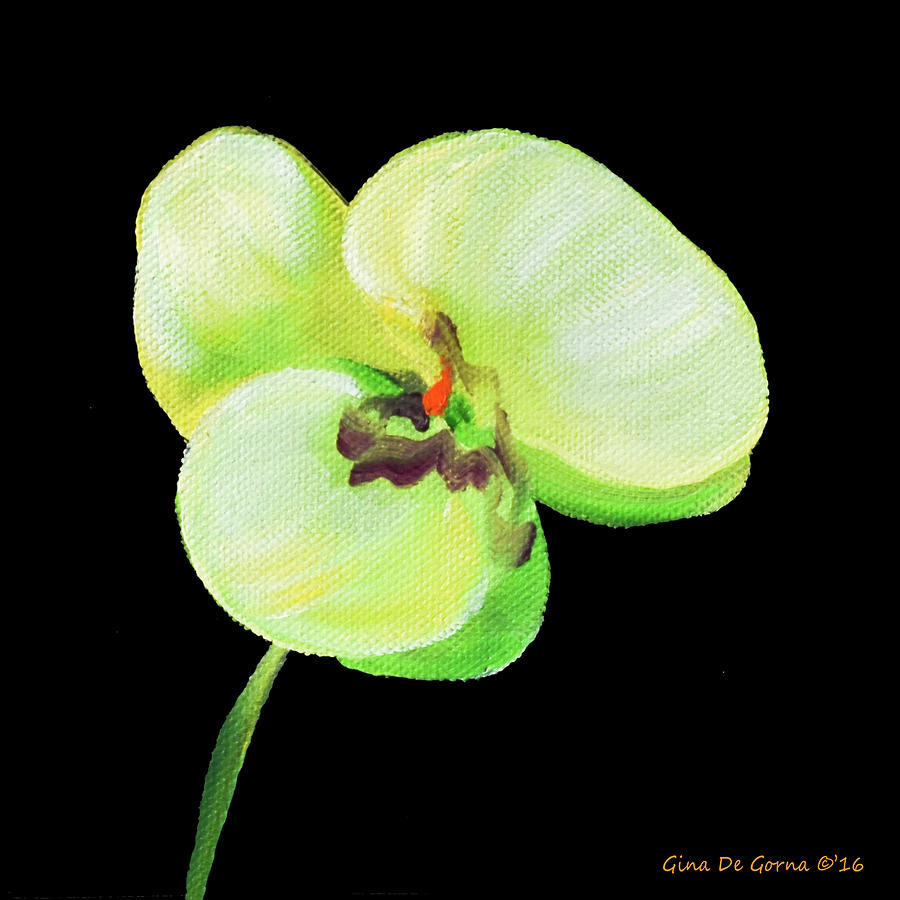 White Orchid Painting by Gina De Gorna