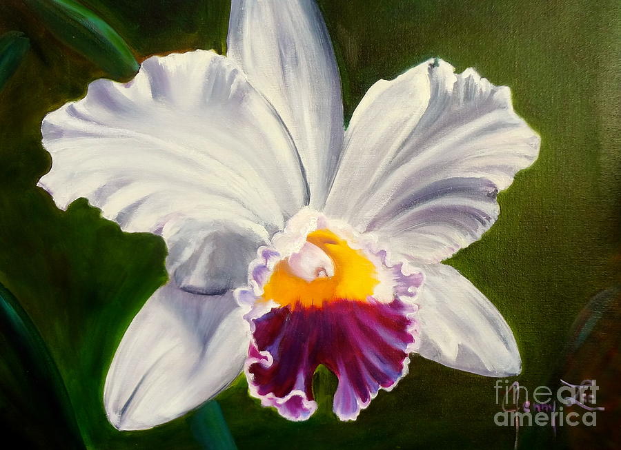 White Orchid Painting by Jenny Lee