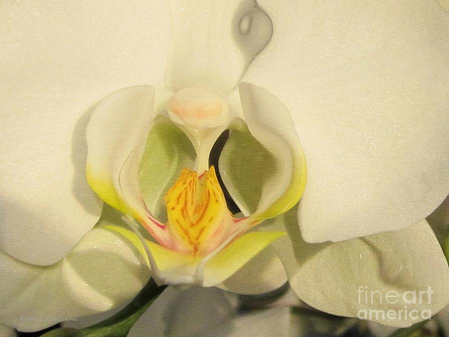 White Orchid Photograph by Kathie Chicoine