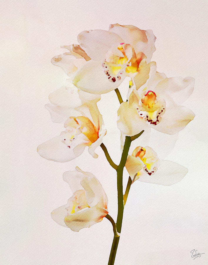 White Orchids Faux Watercolor Photograph by Endre Balogh