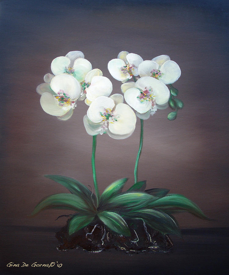 White Orchids Painting by Gina De Gorna