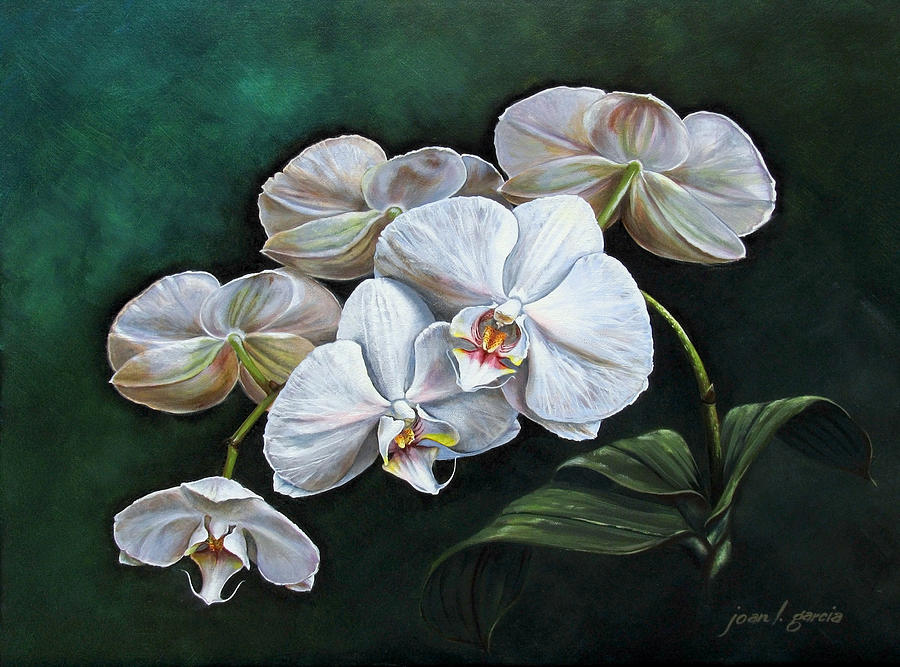 White Orchids Painting by Joan Garcia