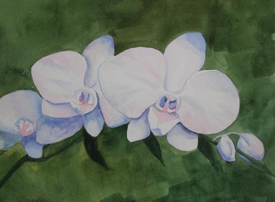 White Orchids Painting by Mabel Moyano