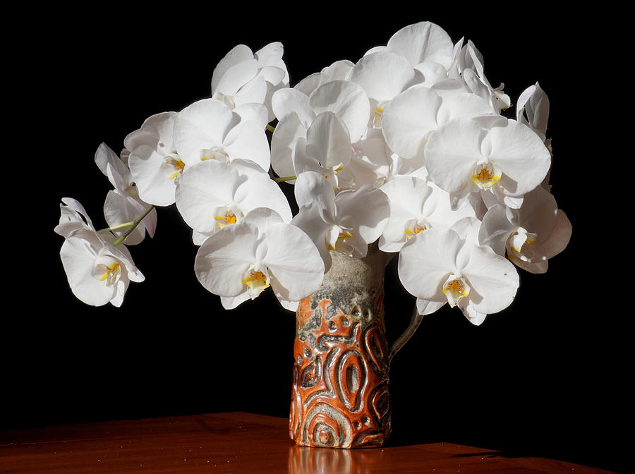 White In Vase On Black Photograph by Yuri Tomashevi