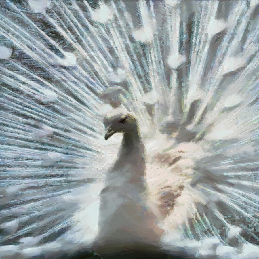 White Peacock Digital Art by Charmaine Zoe