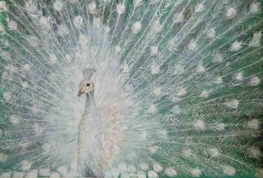 White Peacock Painting By Eve Schambach