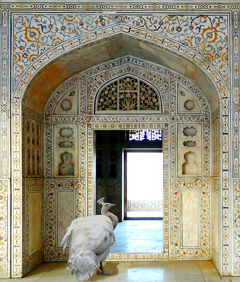 Peacock Digital Art - White Peacock in Mughal Palace by Aisha Abdelhamid