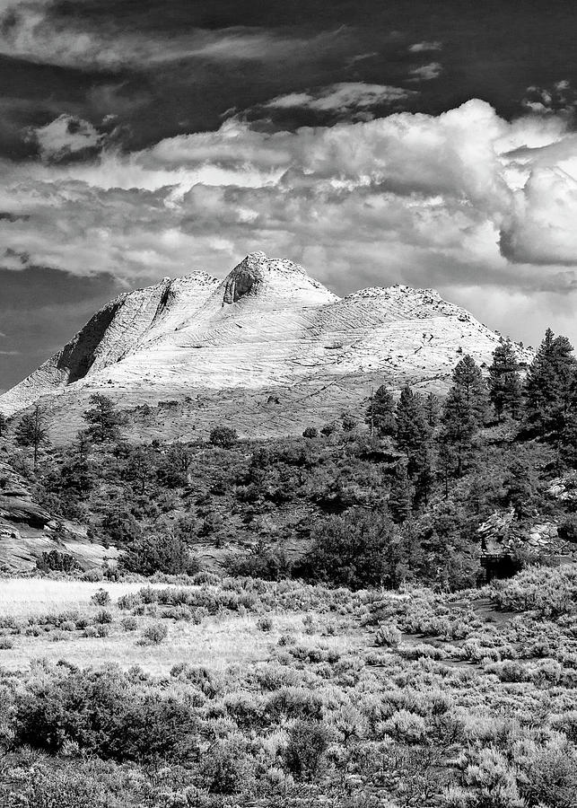 White Peaks 2 BW Photograph by Ginger Stein