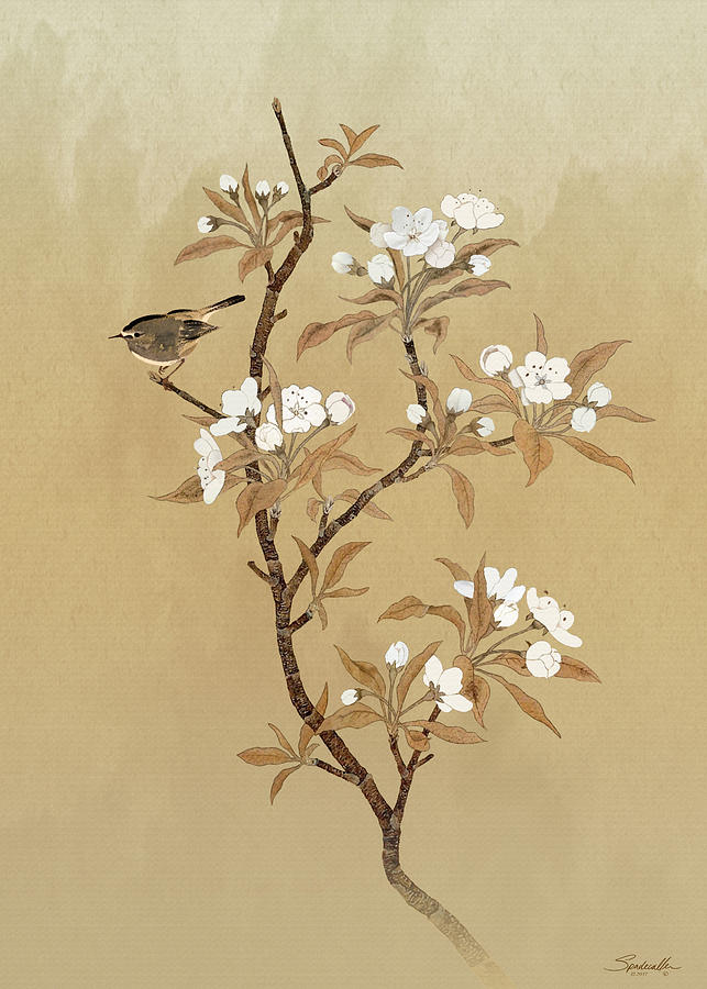 White Pear Blossoms And Sparrow Mixed Media by M Spadecaller