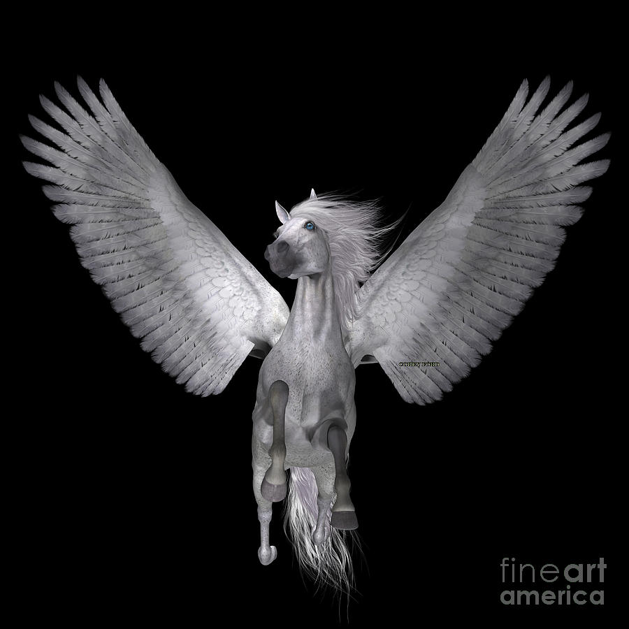 White Pegasus on Black Painting by Corey Ford